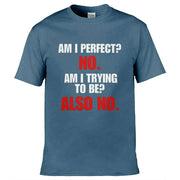 Am I Perfect T-Shirt Slate Blue / S